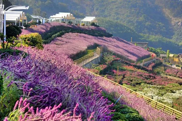 新津花舞人間<a href='http://palmettodecks.com/' target=_blank>旅游攻略</a> 附門票價(jià)格及交通指南